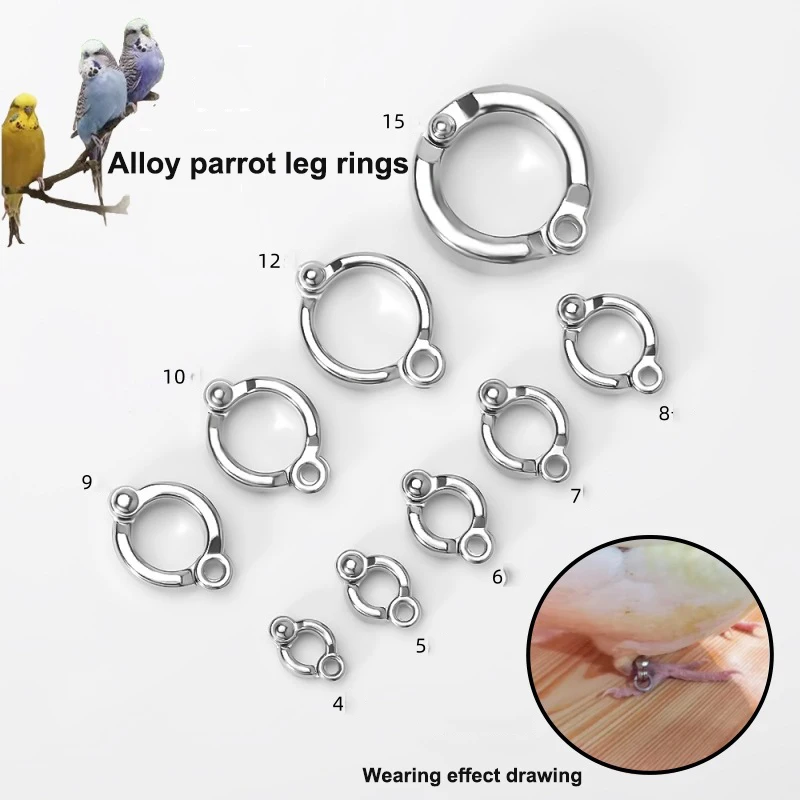 

Ultra-Light Parrot Zinc Alloy Ankle Rings Quick-Opening Fasteners for Comfortable Wear Ideal for Outdoor Activities And Train Tr