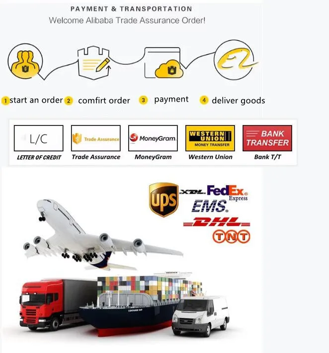 100% أصلي جديد Crucial X8 500GB 1 تيرا بايت 2 تيرا بايت 4 تيرا بايت SSD محمول يصل إلى 800 برميل/الثانية USB 3.2 محرك أقراص الحالة الصلبة الخارجي