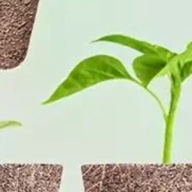 Aerogarden Seed Pod - Aerogarden için 67 adet tohum kabuğu