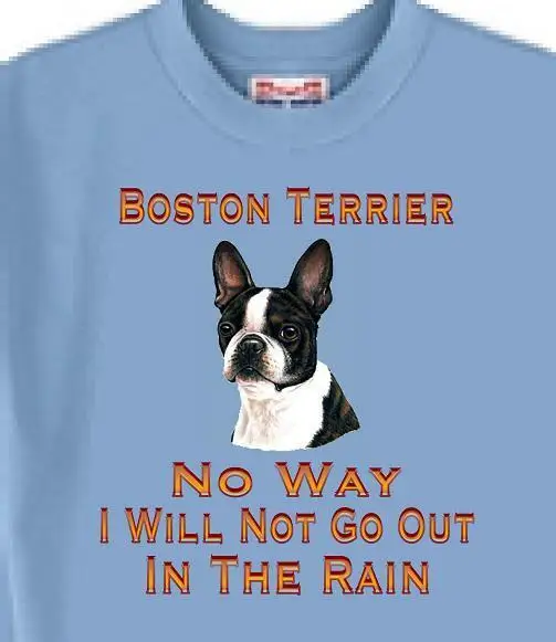 

Terrier Dog T Shirt Men Women -- No Way I Will Not Go Out In The Rain