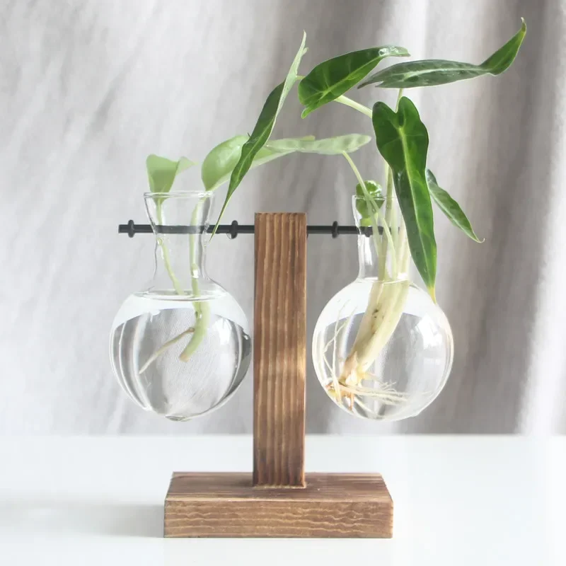 Terrarium Plant  Hydroponic Vintage Glass Flower Pot Transparent Plant Pot Wooden Plant Shelves Tabletop  Bonsai Decor