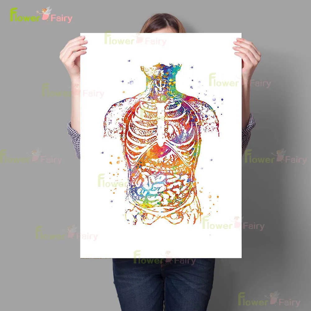 Watercolor Orthopaedics Bones Skull Prints Poster Wall Art Canvas Painting Home Decor Wall Pictures For Living Room Unframed