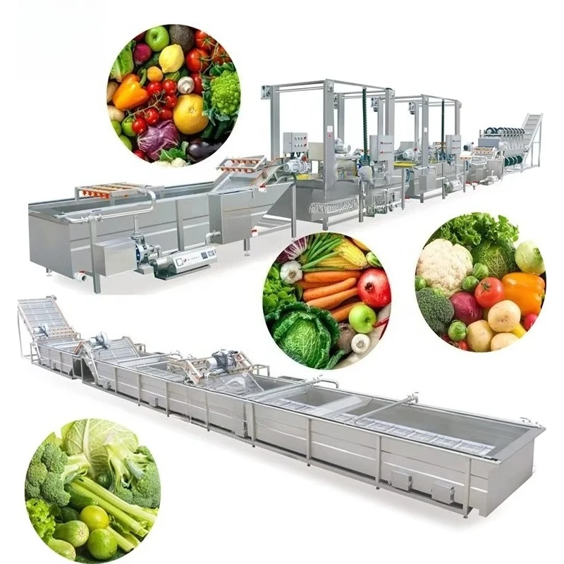 Customized Fruit Vegetable Processing Line For Agricultural Products Base Farm Harvest Processing Fresh Keeping Production Line
