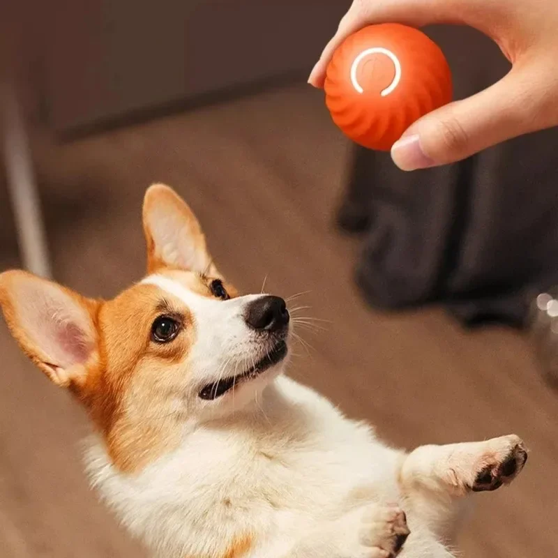 

Pet Cat Toys Smart Electric Ball Toy Gravity Jump Balls Dog Plaything USB Charging Automatic Teasing Dogs Artifact Intelligent