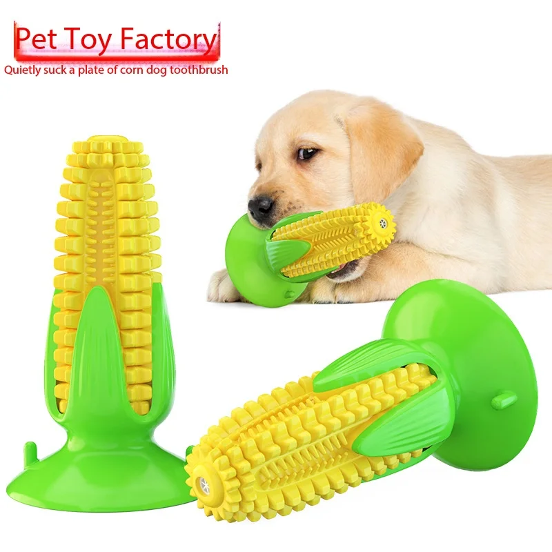

Popular pet products: talking corn suction cups, dog toothbrushes, and dog toys.