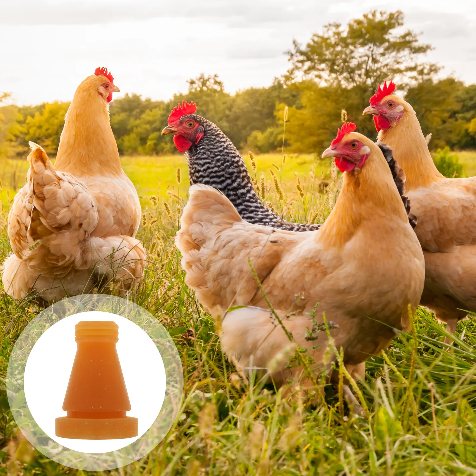 

10Pcs Durable Rubber Chicken Plucker Fingers Efficient Poultry Hair Removal Rods Machine Accessories Plucking Rod for Poultry