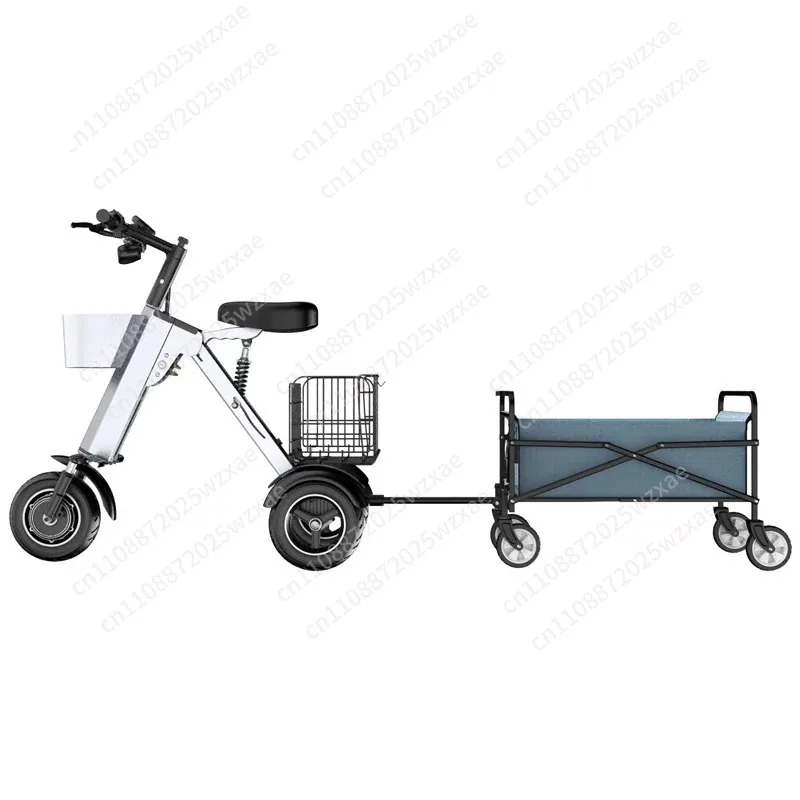 

Dual-person folding electric vehicle - portable, small, lightweight, mini three-wheeled electric mobility device