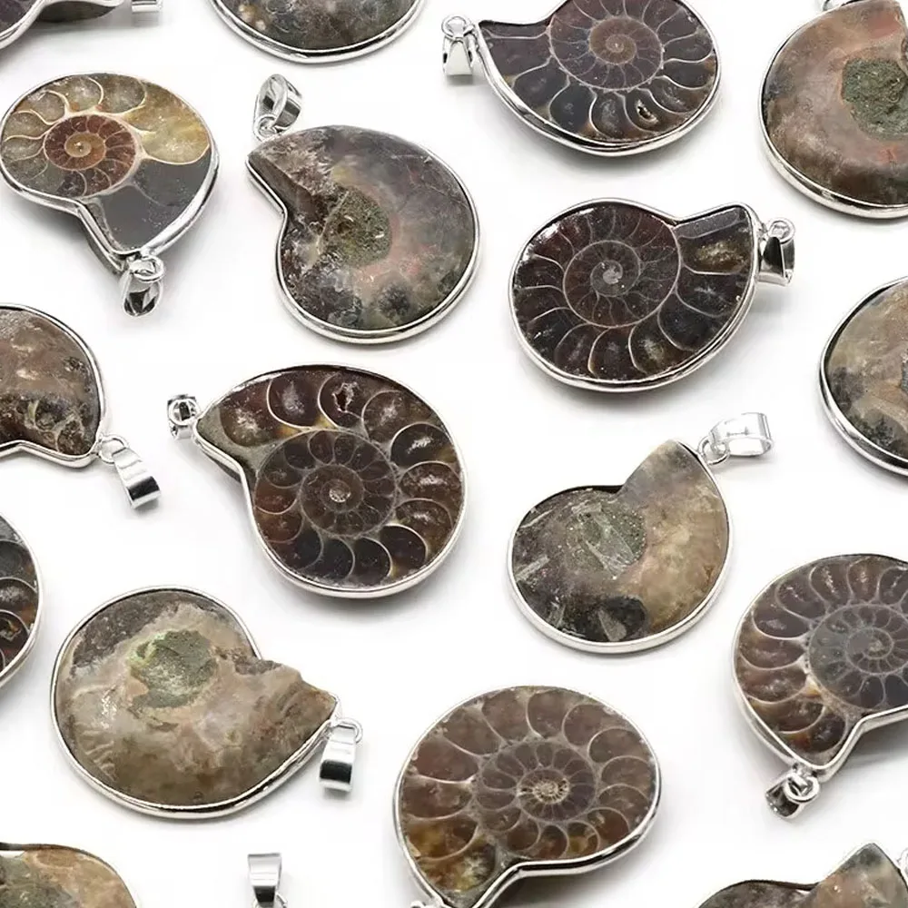 Přírodní kameny přívěsky ammonite seashell hlemýžď oceán reliquiae ulita okouzluje šperků vytváření DIY živočich řetízek příslušenství 1ks