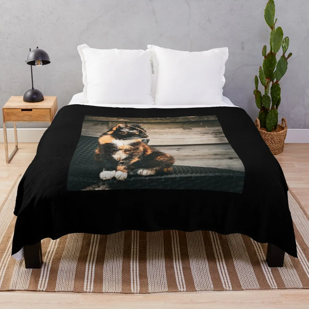 Tortie cat Throw Blanket wednesday Flannels Blankets