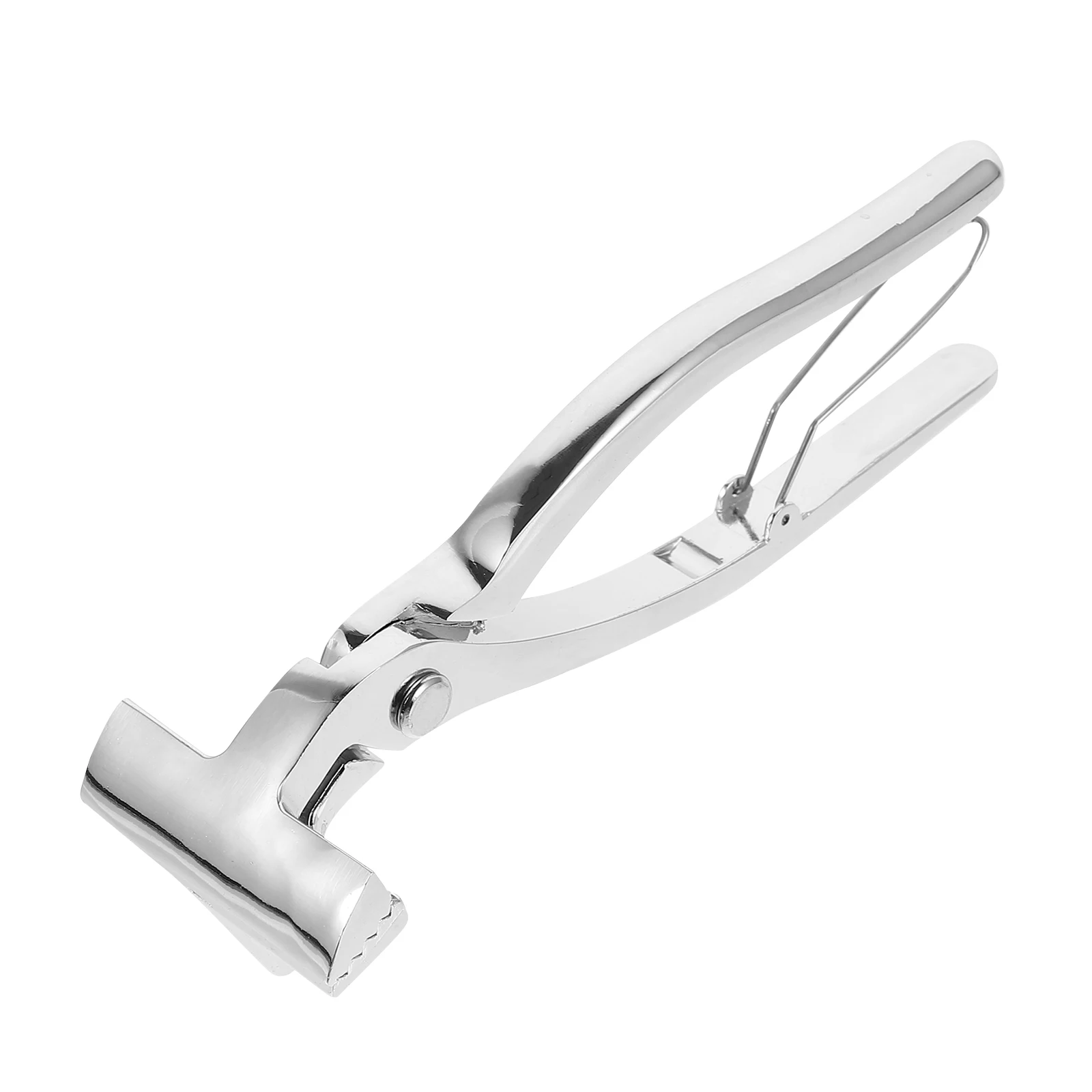 

Oil Painting Clip Canvas Clips Stainless Steel Framing Tool Heavy Duty Frame Holder Art Supplies Long Lasting