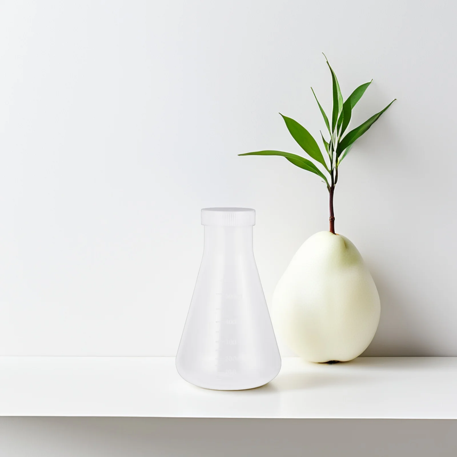 

3 Pcs Fashionable Plastic Flask Set Laboratory Conical Polypropylene for Chemistry