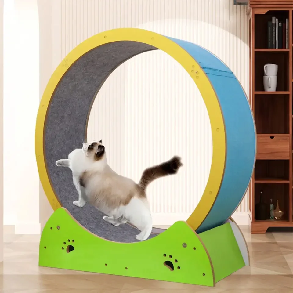 Factory Cheap Price Wholesale Cat Toys Circle Track For Household Interactive Pet Tread Exercise Running Wheel