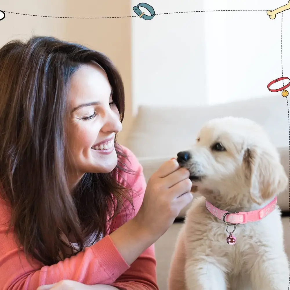 البوليستر القط تسخير والمقود مجموعة باو نمط الملونة الحيوانات الأليفة المشي سترة انفصال مع جرس جرو الرسن الكلب المشي في الهواء الطلق