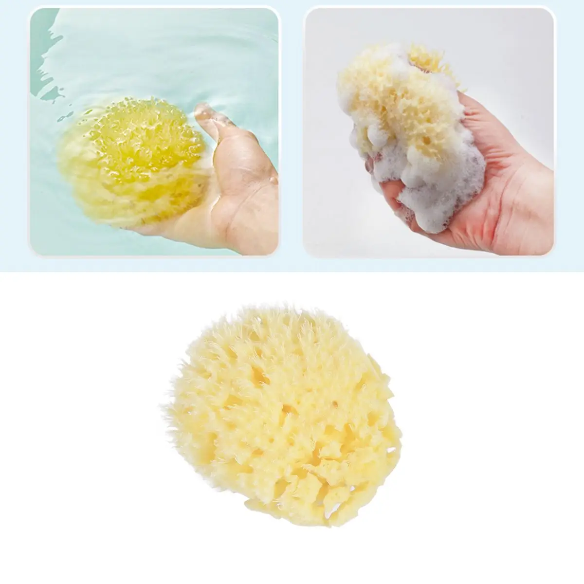 Spons Mandi Spons Rumput Laut Spons Mandi Bayi Spons Mandi Spons Mandi