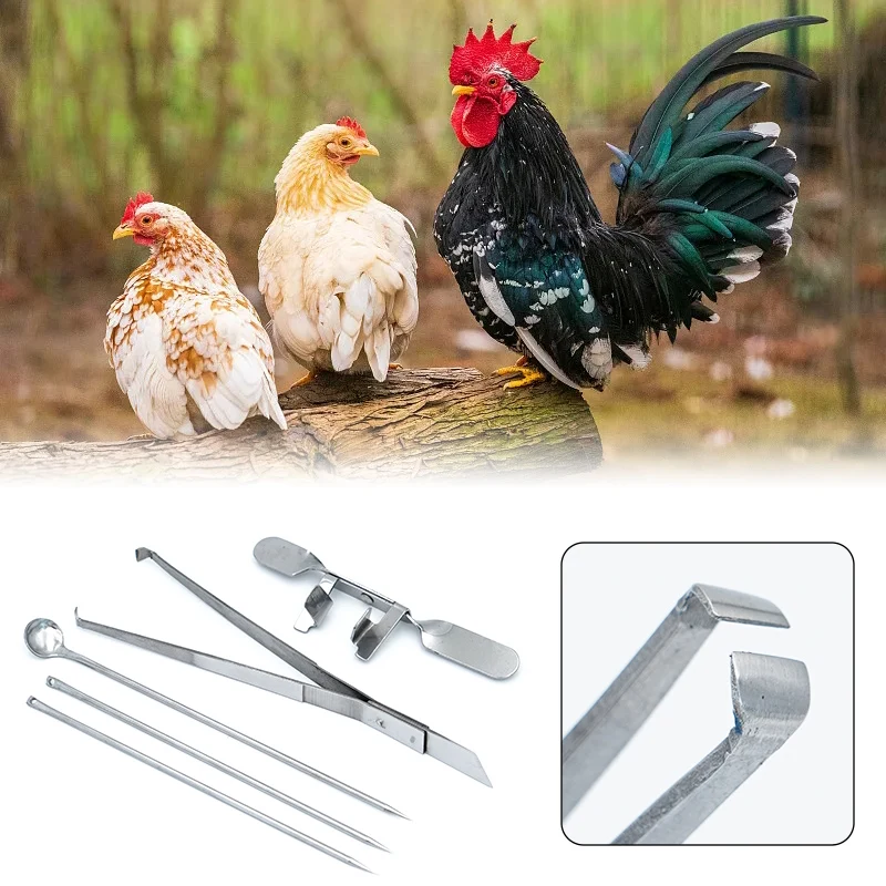 Stainless Steel Castration Tools Big Chicken And Little Chicken New Castrating Knife Five-Piece Set Poultry Farm supplies Tools