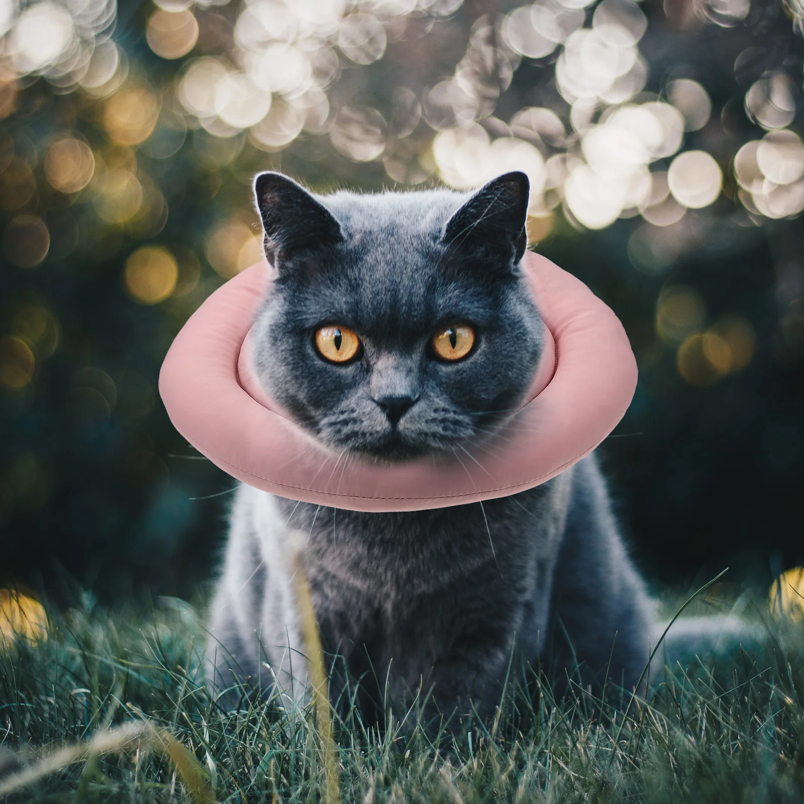 

1Pcs Waterproof Recovery Collar Cat Anti Licking Protective Neck Cone Pet Supplies Cat Recovery Collar Pet Supplies