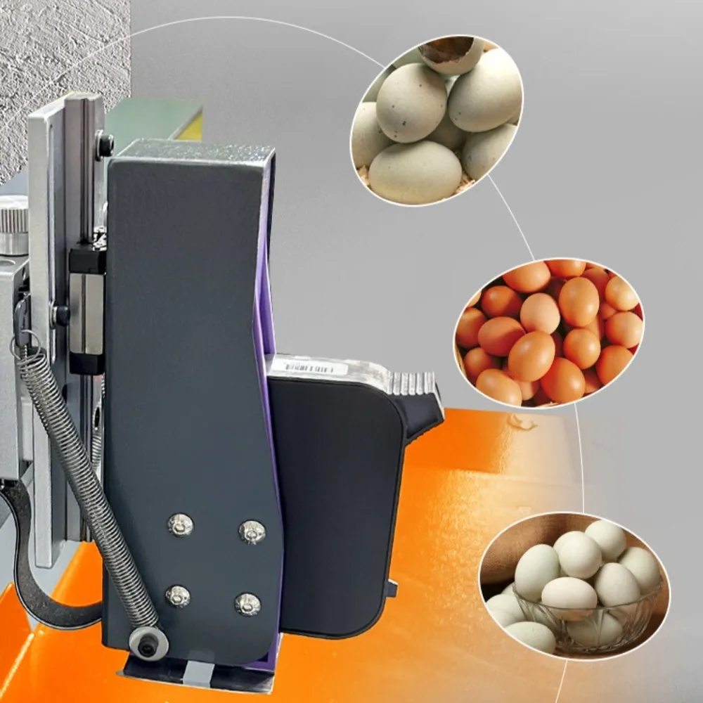 Automatic Egg Coding Machine Desktop, XY Axis Small Printer for Production Date, Continuous Flow Coder for Eggs