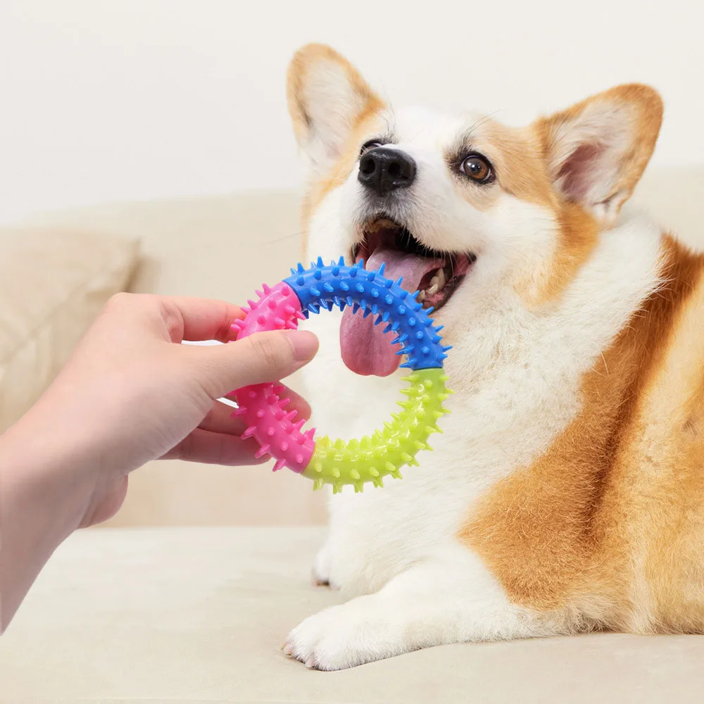 3-farbiges Hundespielzeug mit Stachelring – unzerstörbar, kaubeständig, Zahnreinigung, langlebiges Welpen-Kauspielzeug