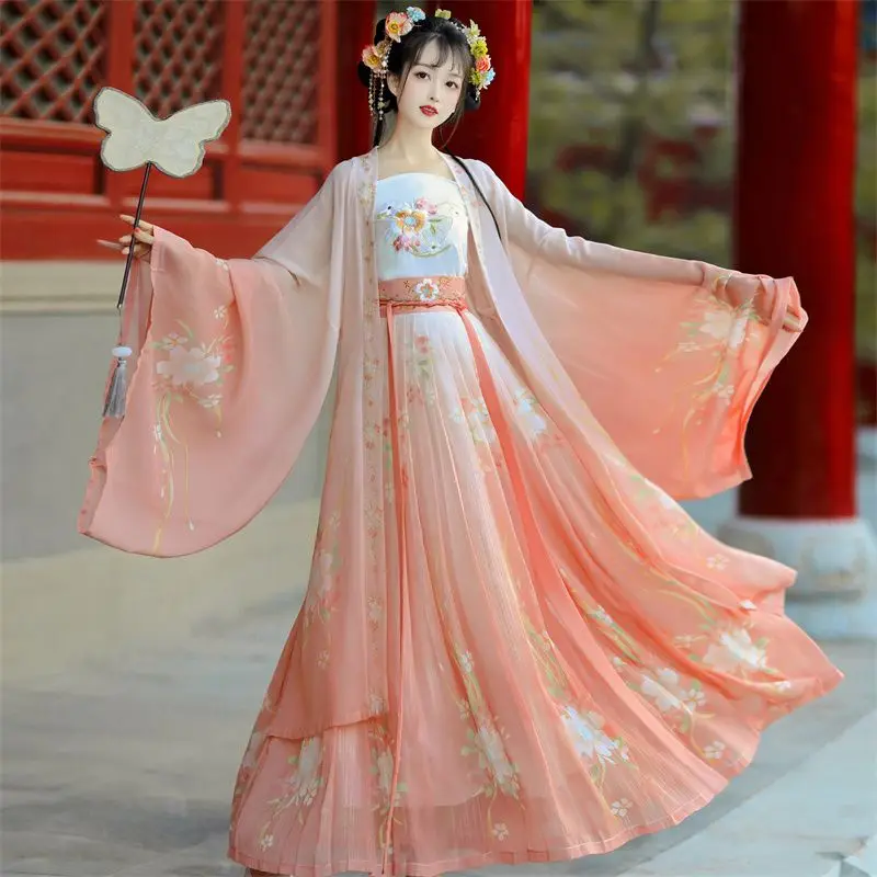 Traditional Women Song Dynasty Embroidery Print Hanfu Dress Ancient Chinese Style Stage Costume Dance Hanfu Princess Outfits