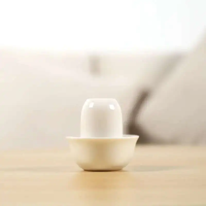 فنجان شاي من السيراميك، كوب من البورسلين wenxiang، كوب الكونغ فو الصيني، أدوات الشرب #4