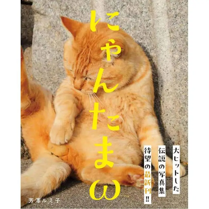 Cute Cute Come On Lets Go Rumiko Yoshizawa Kodansha 9784065371763 Book