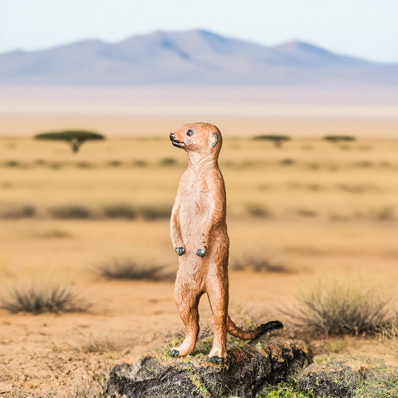 Oenux Simulation Neue Wilde Tierfiguren Stehende Wüsten-Meerkatze Otter Nutria Modell Actionfiguren Kinder-Lernspielzeug Geschenk – Detail 15