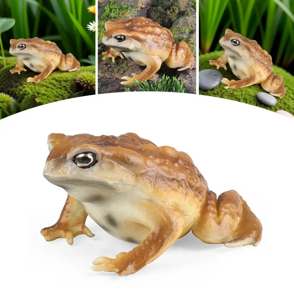 Realistic Solid Frog and Toad Animal Figurines for Kids, Educational Reptile Toys, Ideal for Birthday and Science Projects