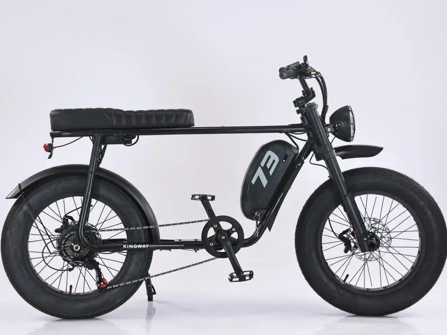 Modern Electronic 6-Speed City Bike 500W Rear Hub Motor 48V 20AH Lithium Battery Family-Friendly