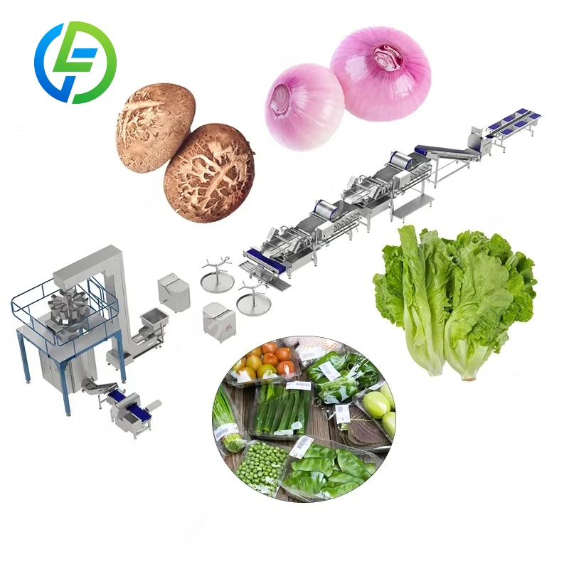 Customized Tomato Mushroom Washing Sorting Weighting Packing Frozen Fruit and Vegetables Blanching Cleaning Cutting Machine