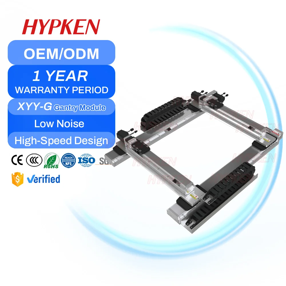 Manufacturer Customized  100-6000mm  Multi-axis  Linear Gantry Workbench Engine Stainless Steel Motor Gear Bearing