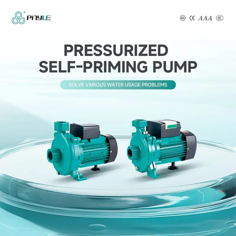 High Precision 1.2hp Canteen Water Supply Centrifugal Water Pump for School Cafeteria
