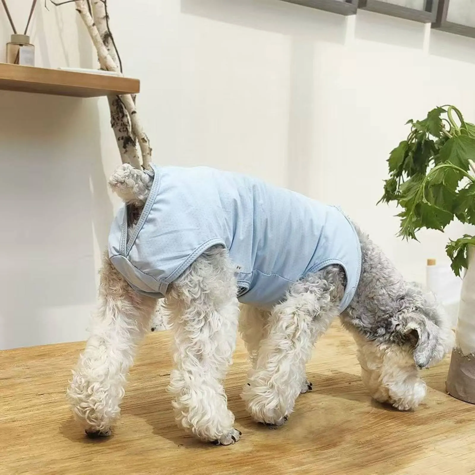 Male Dog Anti-Harassment Suit Quick-Dry Post-Op Pet Suit Dog Surgery Onesie Lightweight Canine Care Product Mesh Crotch Design