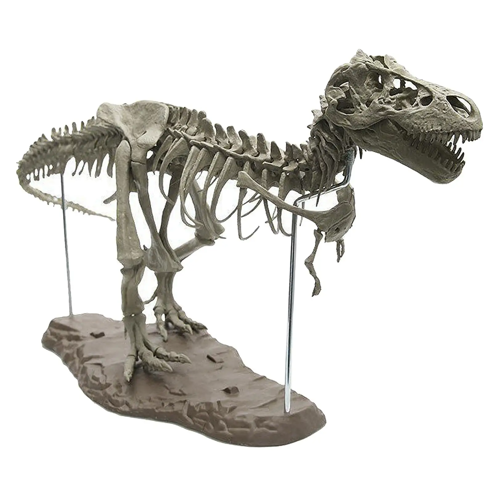 Figura de esqueleto de decoración de oficina DIY sin montar modelo de dinosaurio 4D