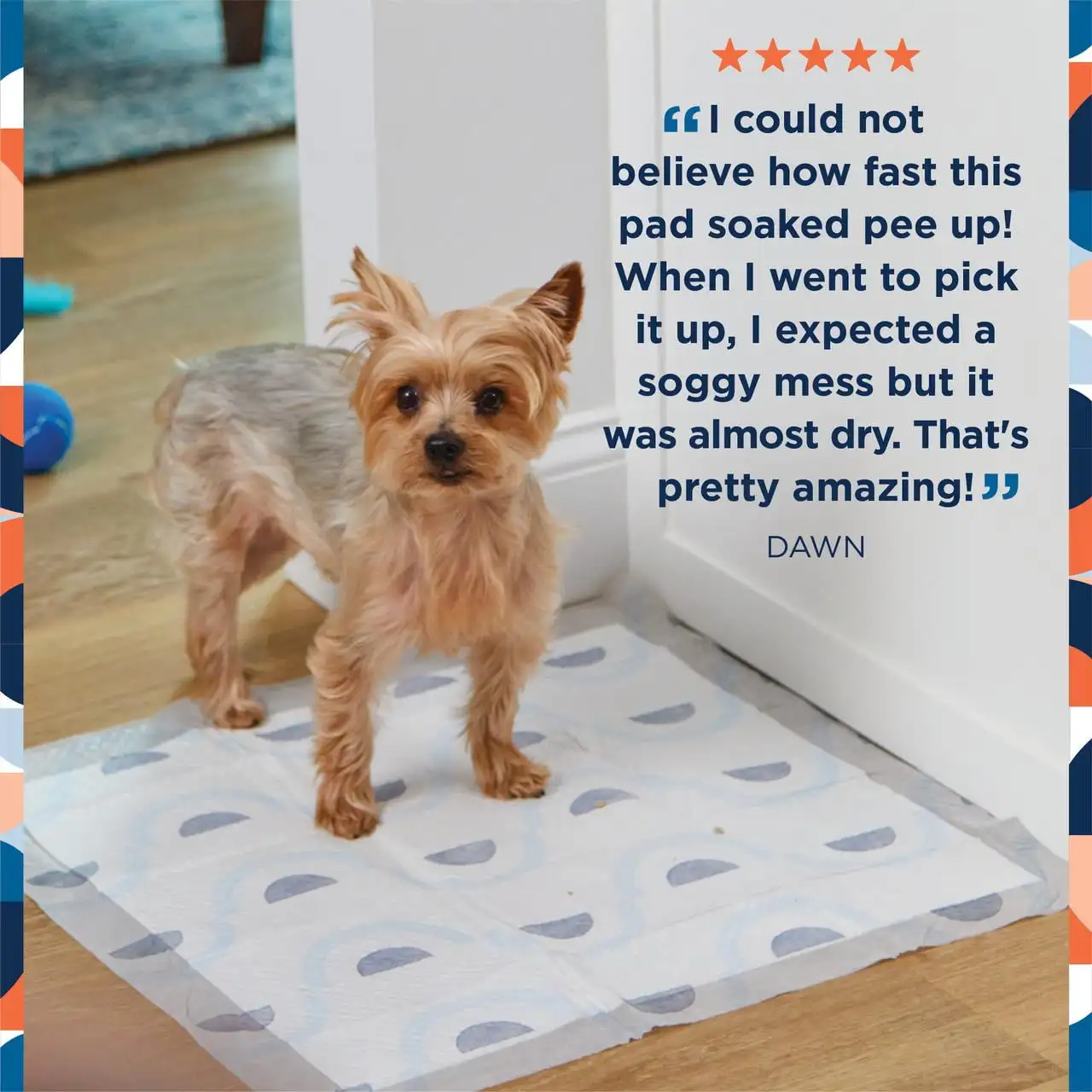 

Dog Pads, Smart Prints, Large, Sunshine & Rainbows Print, 12ct