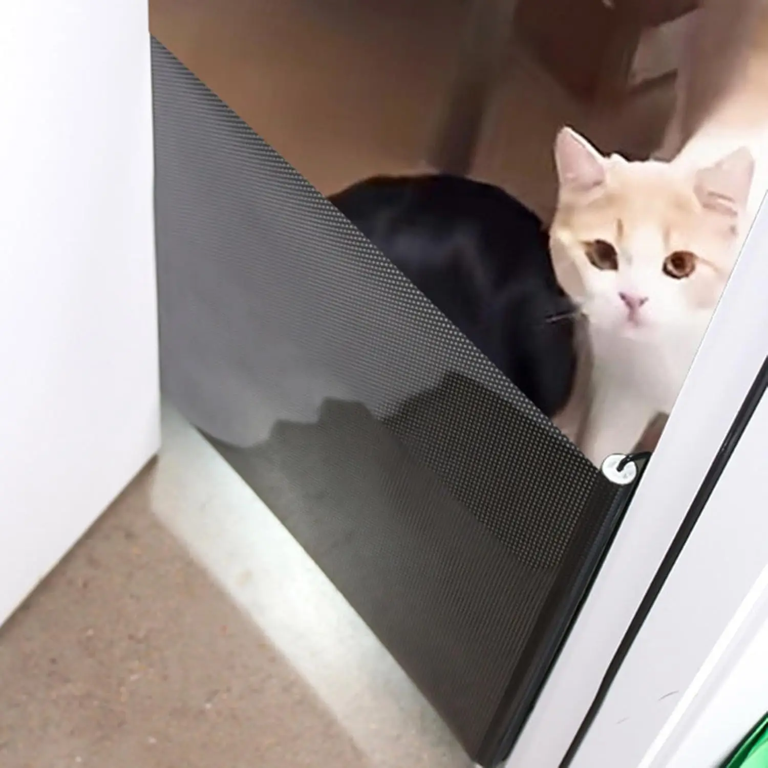 Thumbnail 2 - #28 Highest Rated Cat Doors to Buy in 2026