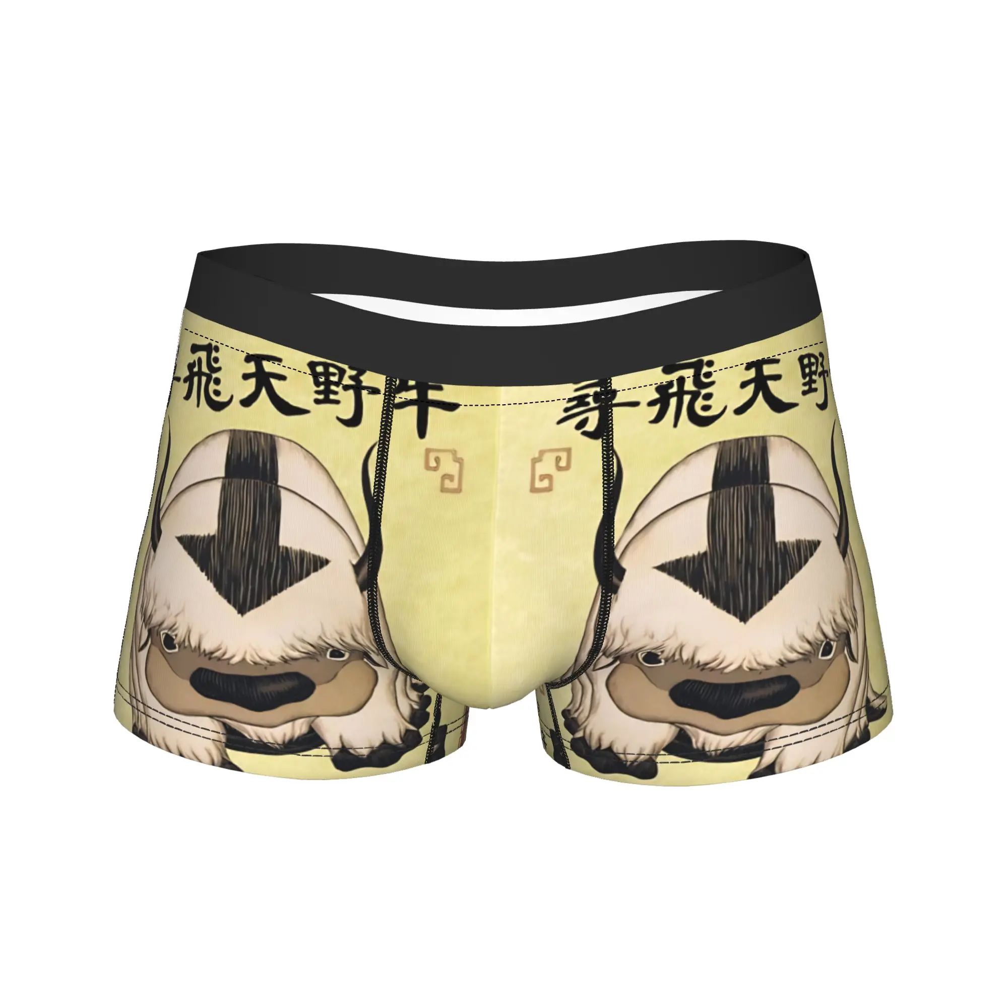 Appa Missing Poster Avatars Anime Underwear  Men Panties Pattern Breathable Boxer Shorts Quality Shorts Briefs Plus Size