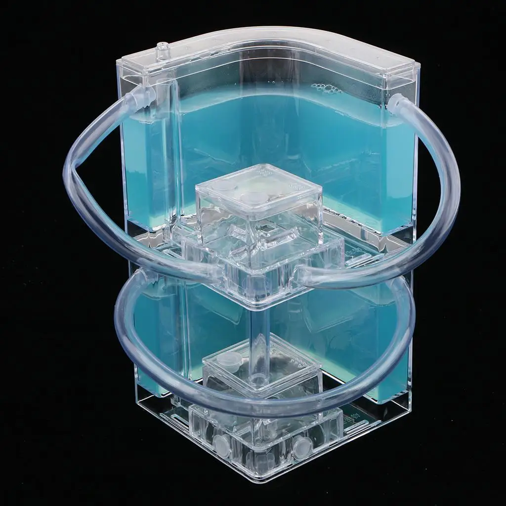 juguete-educativo-transparente-de-hormigas-para-el-hogar-laberinto-3d-relleno-de-gel-kit-de-plastico-para-ninos-aprendizaje-cientifico