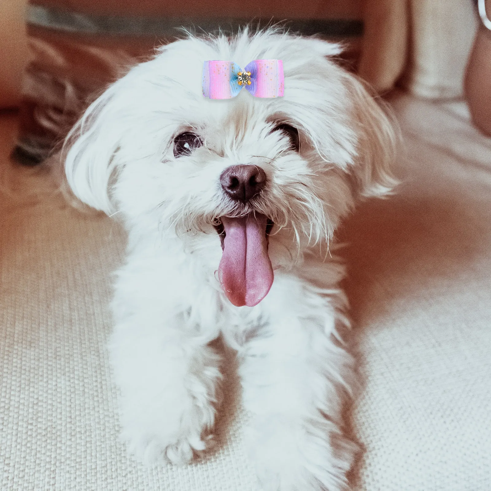 25Pcs Pet Bowknot Hair Bands Decorative Dog Cat Hair Ties Elastic Rubber Band Bow for Competition Wedding Outdoor Social Visits