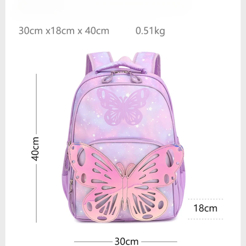 Teenage Students Girls Butterfly Bookbag with Lunch Bag Pencil Bag Set Travel Laptop Backpack He Is Also Back To School Backpack