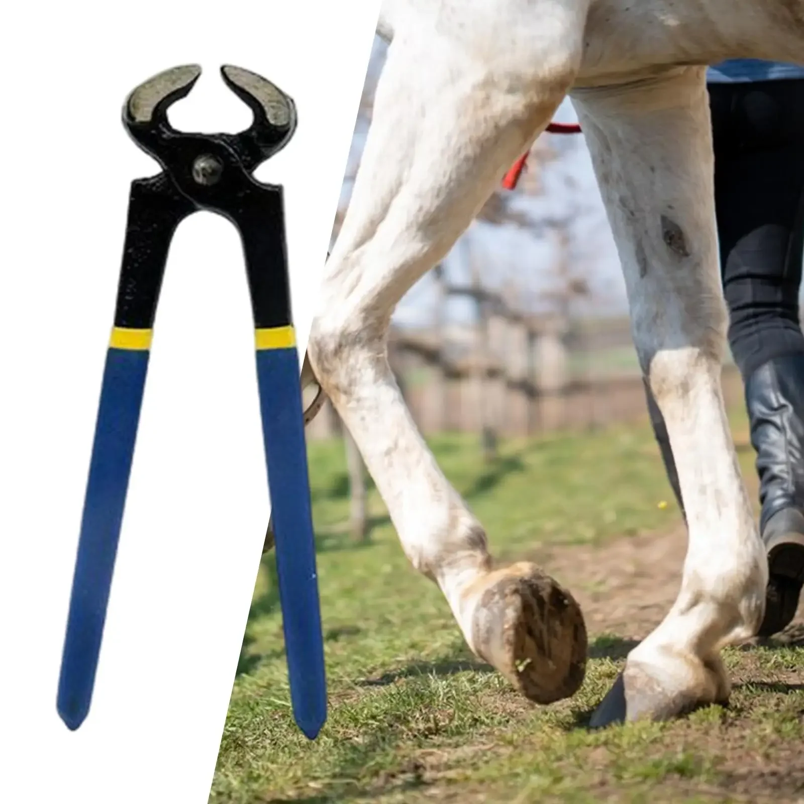 Recortador de pezuñas de caballo, cortaúñas profesional, herramientas de reparación de pezuñas, duradero, fácil de usar