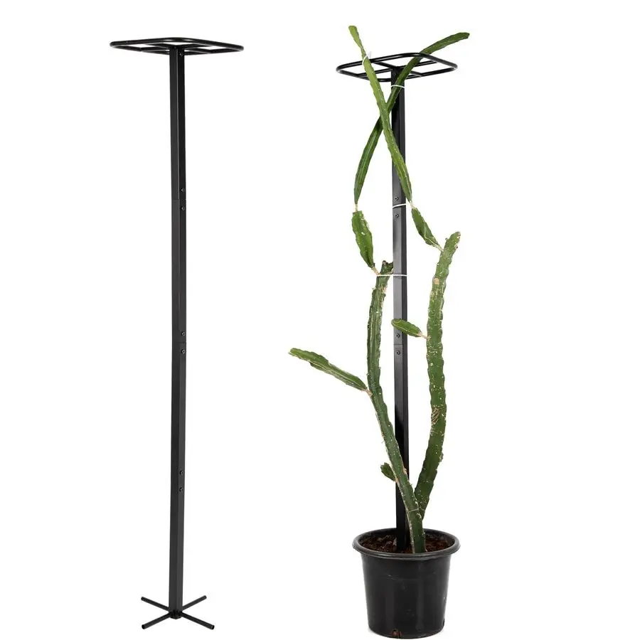 

Металлическая опора для драконьего фрукта, прочная уличная подставка для сада, для вьющихся растений, простая в сборке вертикальная конструкция, идеально подходит для драконьего фрукта.