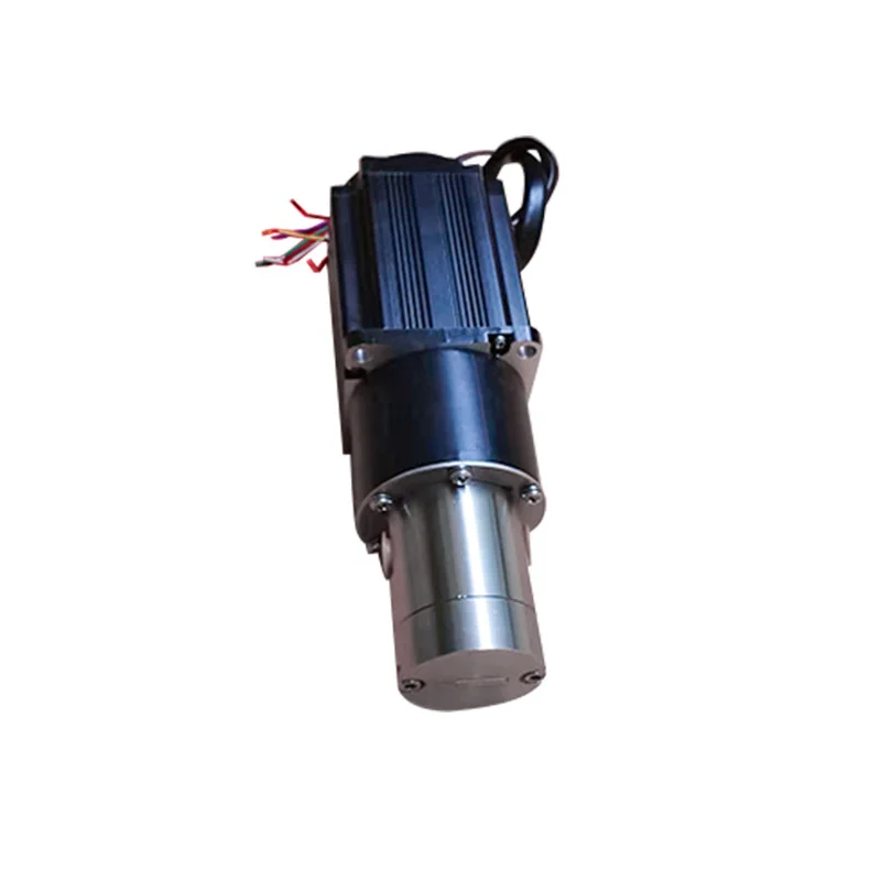 Supply small magnetic gear pump miniature gear pump 12v24v stainless steel magnetic drive gear 316  body