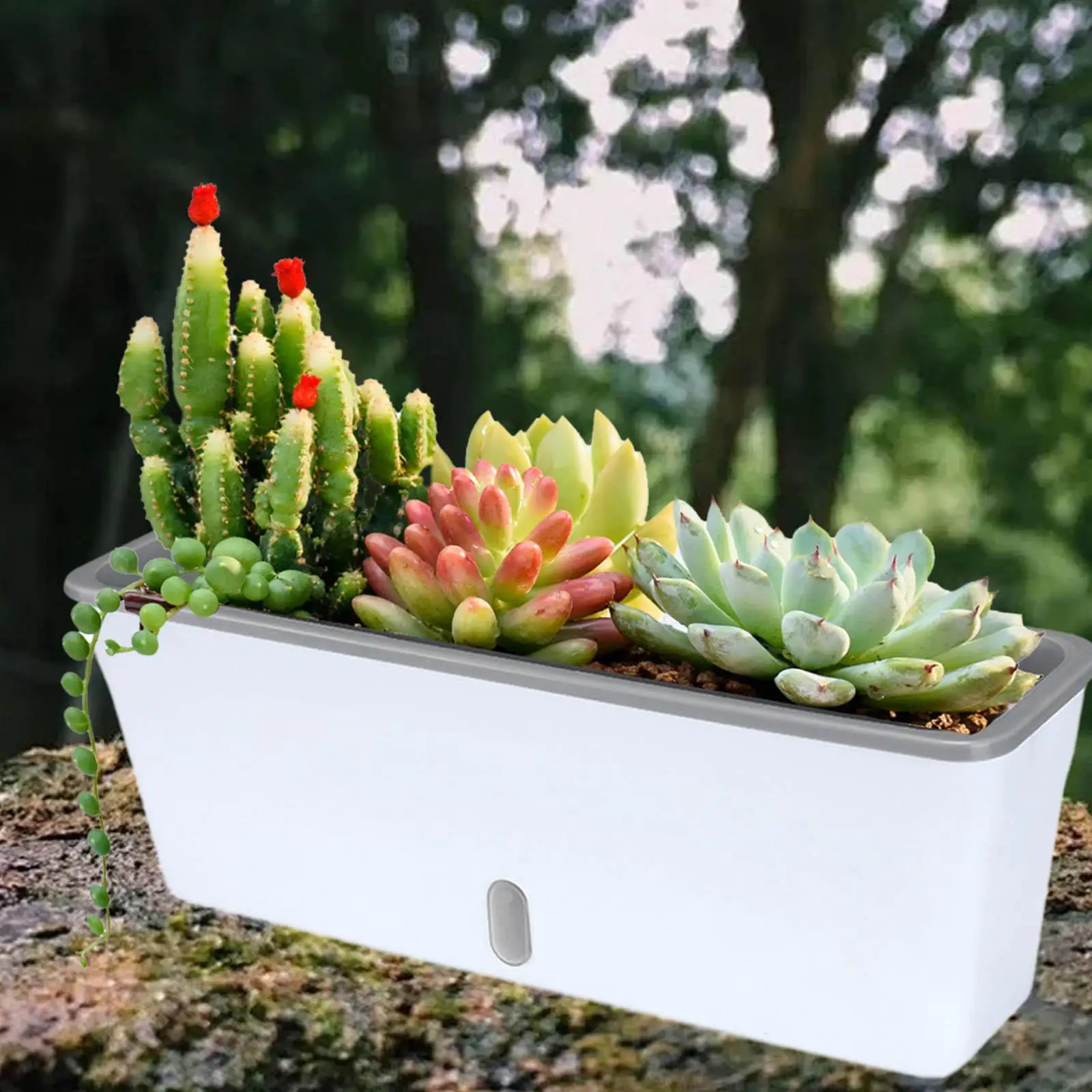 

Rectangular Self Watering Planter,Window Sill Planter, , Sturdy, Modern Flower Pot Decorative for Garden