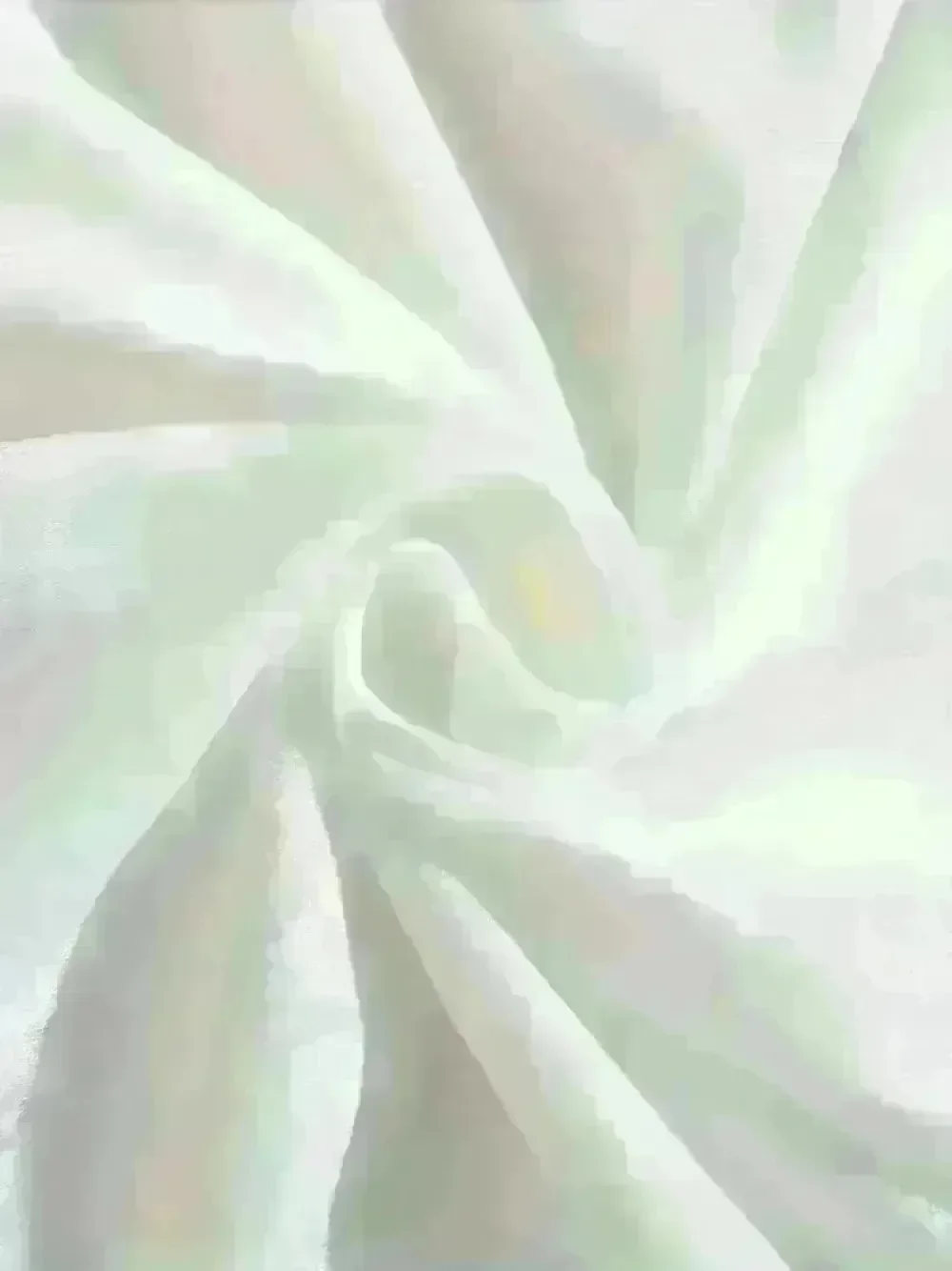 قميص ريترو بيبيدي بوبيدي بو للهالوين جاق وجوس يقطين تي شيرت ديزني سندريلا للهالوين #5