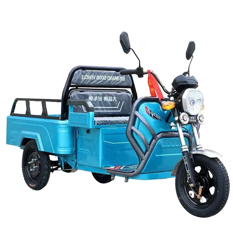 

2 seat electric tricycle car china 60volt fat