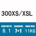 300XS