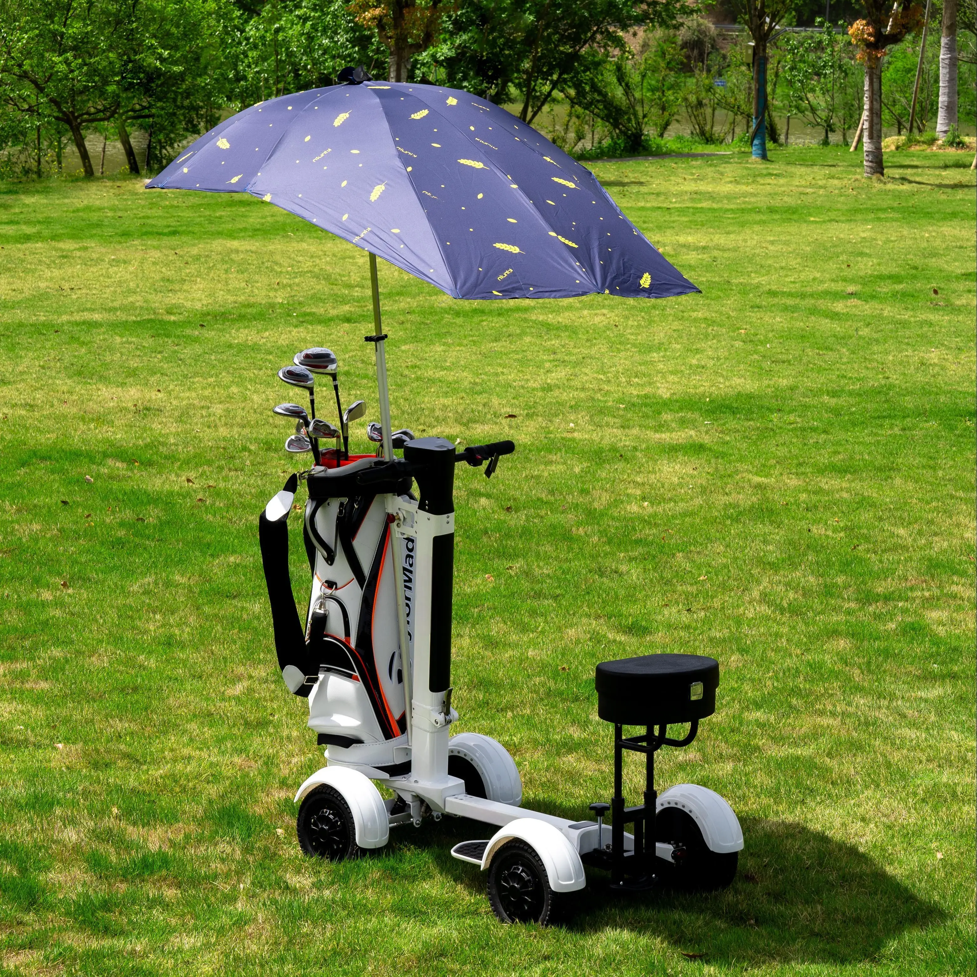 

Electric Mini Golf Carts 4 Wheel One Seater Trolley Scooter with Removable Battery for Outdoor Sports Entertainment