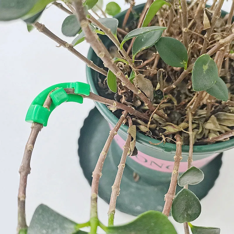 Manipulation Tutors For Plants Clips Bending Twig Clamps Branche Accessories 150pcs 90 Degree Plant Benders Trainer Growth
