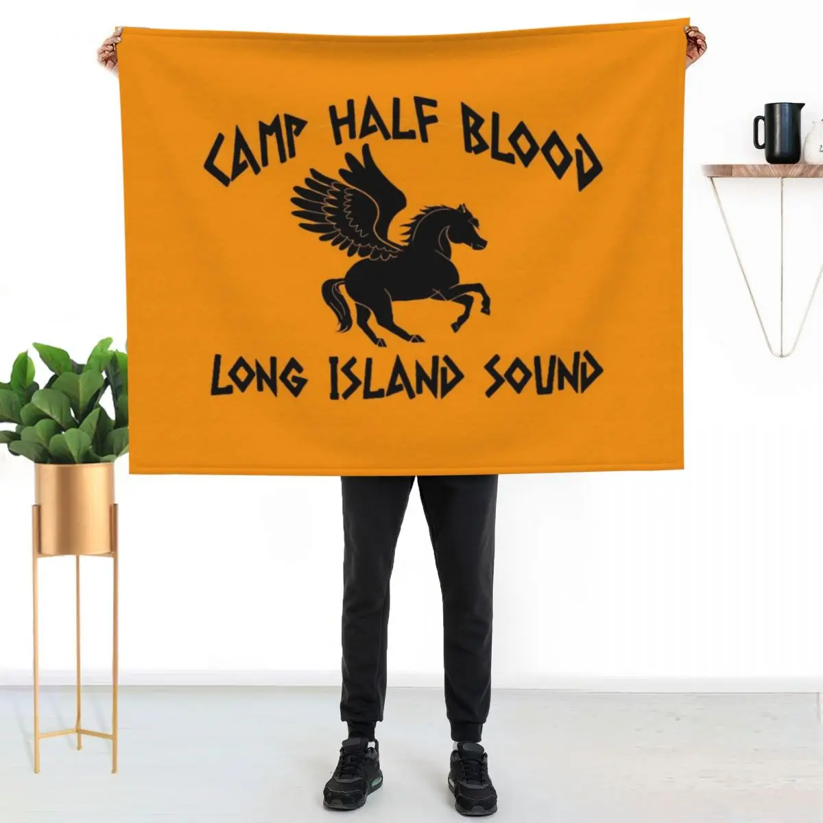 Percy Jackson - Camp Half Blood Logo Throw Blanket couch cozy soft plush fuzzy picnic outdoor blanket