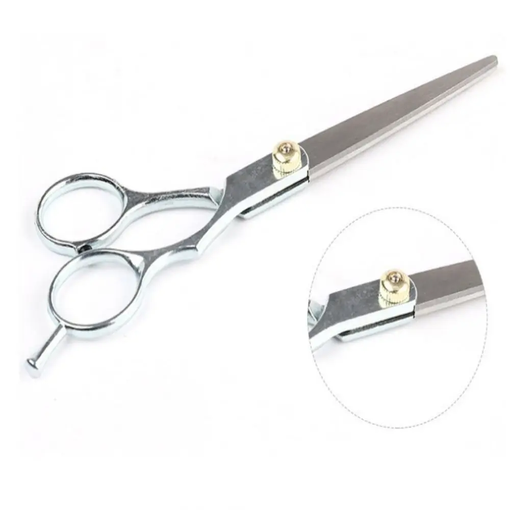 الفولاذ المقاوم للصدأ قص الشعر مقص ترقق 6.0 بوصة مقص حلاّق الفضة صالون حلاقة تصفيف الشعر المقصات صالون حلاقة #5